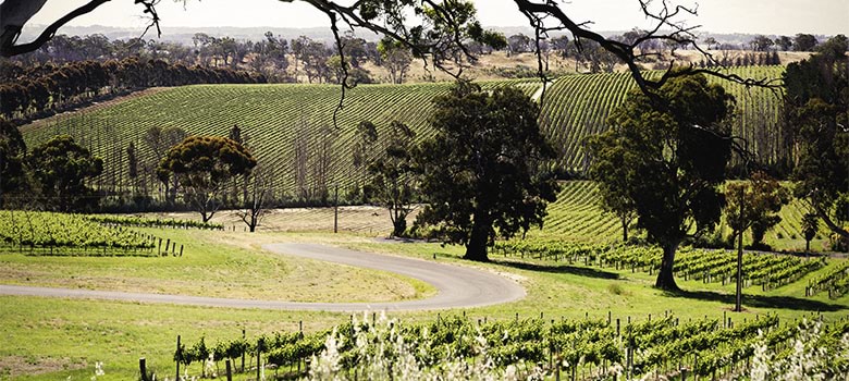 View from Petaluma/Croser Cellar Door in Adeliade Hills